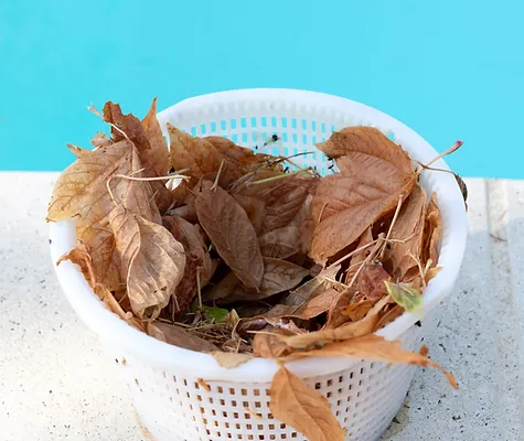 basket_cleaning